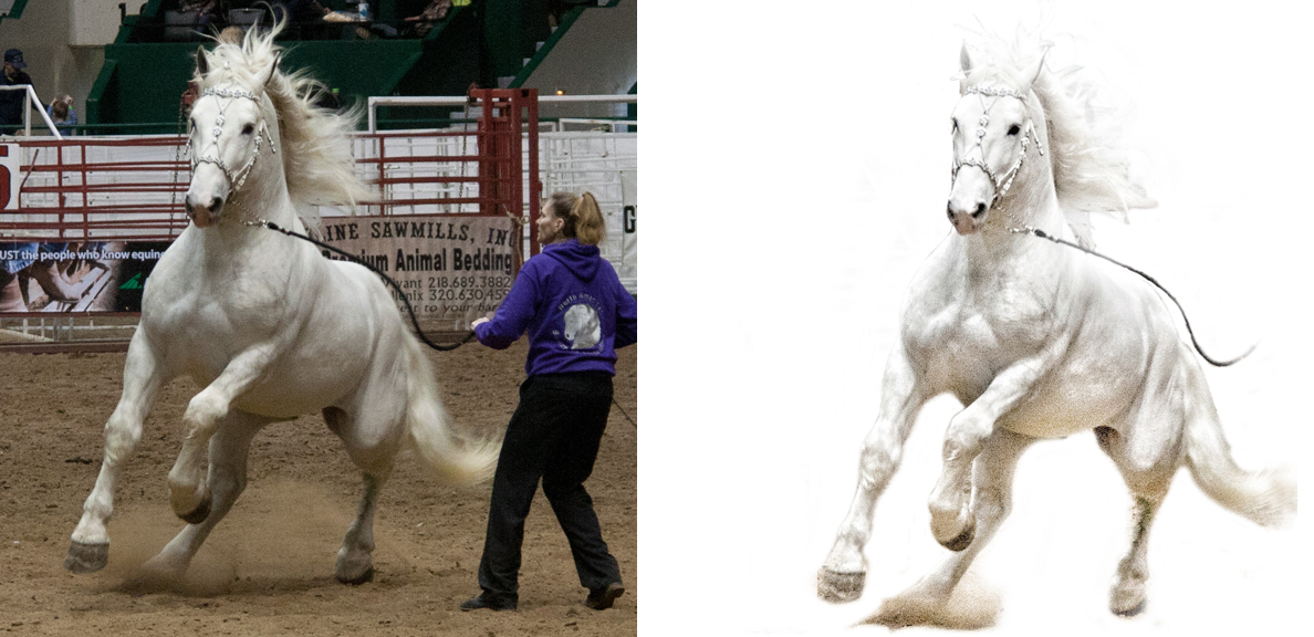 Printing on Tissue Paper for Photo Encaustic. Photo Encaustic with