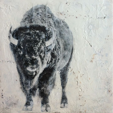 Photo Encaustic Buffalo Art