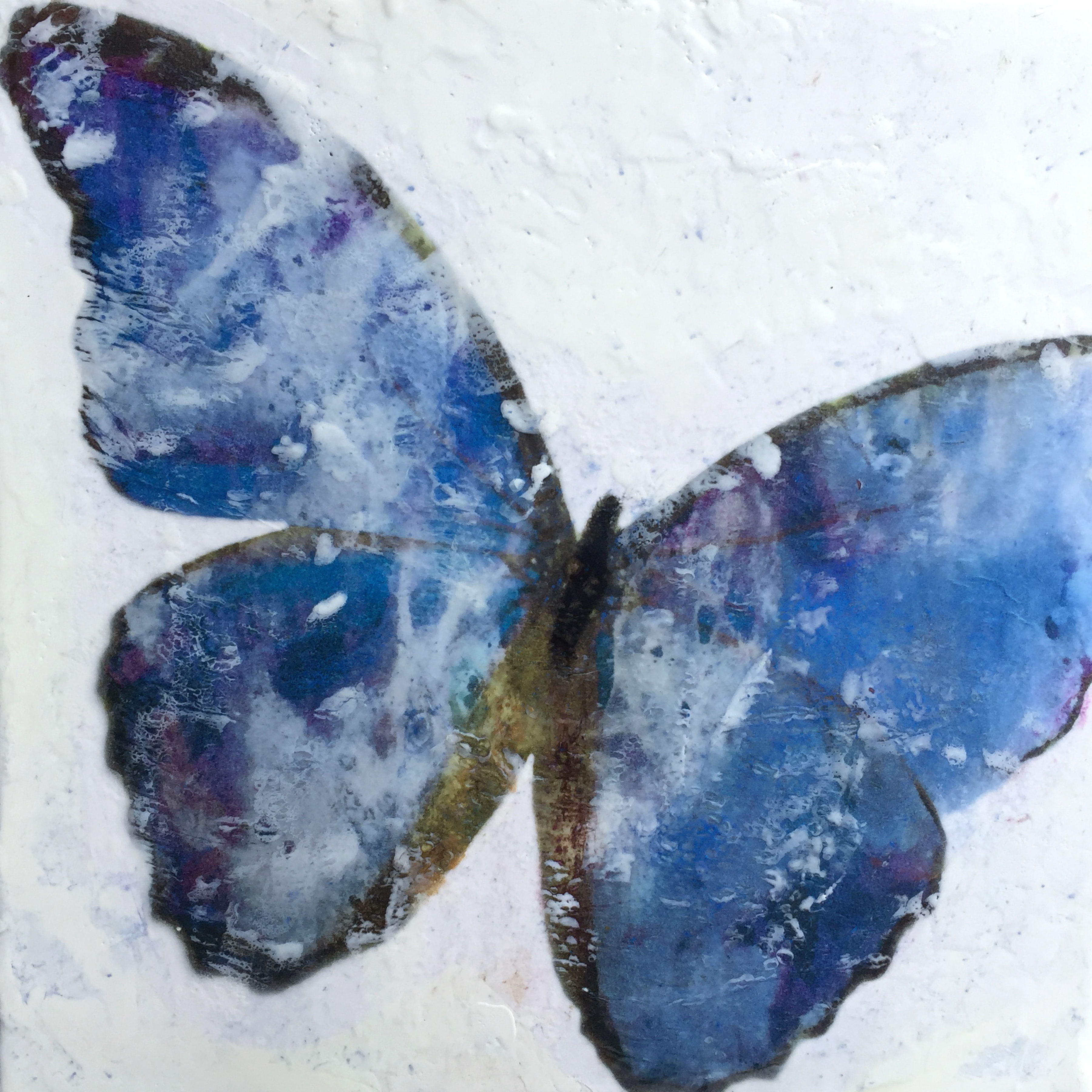 Photo Encaustic Butterfly