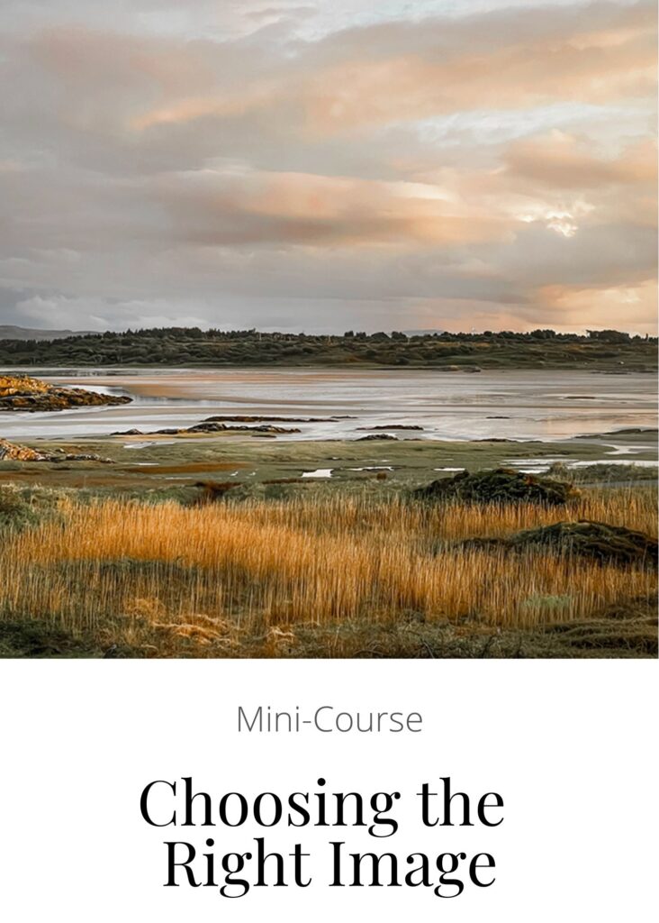 Soft evening light over an Irish tidal estuary with golden grasses, water channels, and a pastel sky during the Ireland photography tour--Without a Map Ireland